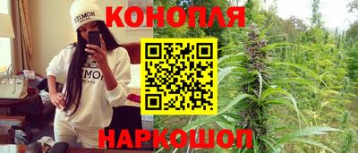 прущие крисы Кулебаки