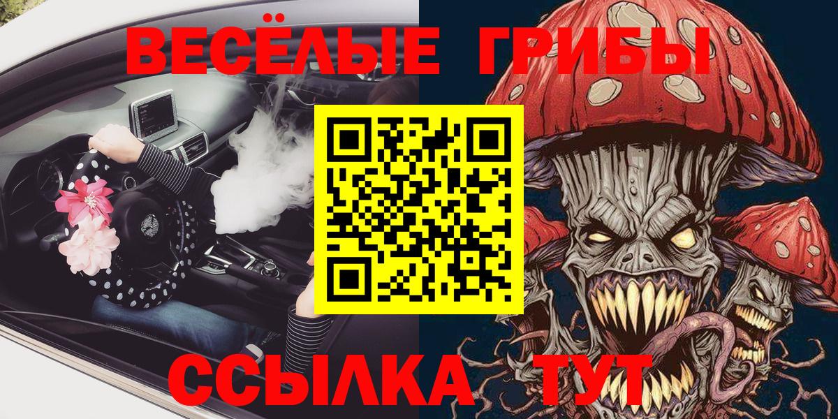 Карачаевск  Псилоцибиновые грибы Cubensis  Галлюциногенные грибы Psilocybine cubensis  Вход с VPN 